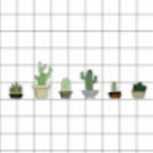 Meet your Posher, Cara